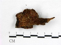 登錄號:F0008026藏品圖，第3張