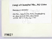 登錄號:F0008027藏品圖，第2張