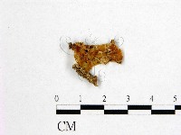 登錄號:F0008027藏品圖，第1張