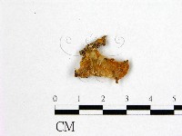 登錄號:F0008027藏品圖，第3張