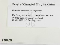 登錄號:F0008028藏品圖，第2張