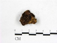 登錄號:F0008029藏品圖，第3張