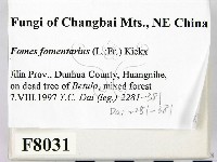 登錄號:F0008031藏品圖，第2張