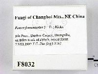 登錄號:F0008032藏品圖，第2張