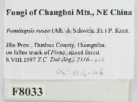 登錄號:F0008033藏品圖，第2張