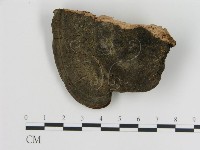 登錄號:F0008033藏品圖，第1張