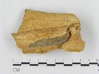 登錄號:F0008034藏品圖，第3張