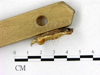 登錄號:F0008035藏品圖，第3張