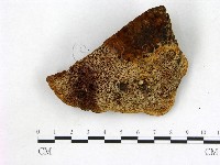 登錄號:F0008036藏品圖，第3張