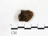 登錄號:F0008037藏品圖，第1張