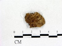 登錄號:F0008037藏品圖，第3張