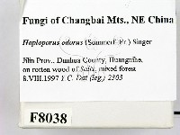 登錄號:F0008038藏品圖，第2張