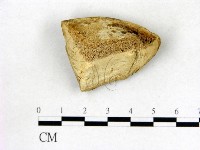 登錄號:F0008038藏品圖，第1張