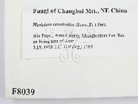 登錄號:F0008039藏品圖，第2張