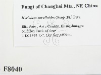 登錄號:F0008040藏品圖，第2張