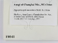 登錄號:F0008041藏品圖，第2張