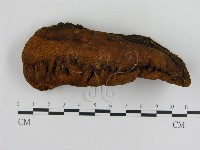 登錄號:F0008043藏品圖，第1張