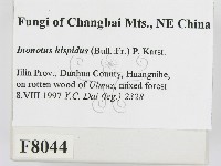 登錄號:F0008044藏品圖，第2張