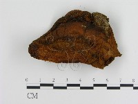 登錄號:F0008044藏品圖，第3張