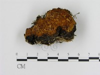 登錄號:F0008045藏品圖，第3張