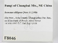 登錄號:F0008046藏品圖，第2張