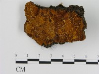 登錄號:F0008046藏品圖，第1張