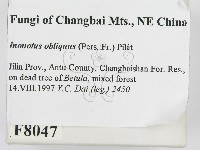 登錄號:F0008047藏品圖，第2張