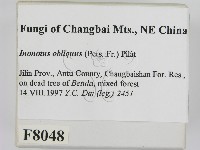 登錄號:F0008048藏品圖，第2張