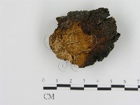 登錄號:F0008048藏品圖，第1張