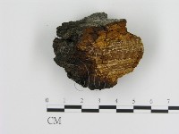 登錄號:F0008048藏品圖，第3張