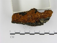 登錄號:F0008049藏品圖，第1張