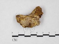 登錄號:F0008050藏品圖，第1張