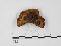 登錄號:F0008050藏品圖，第3張