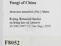 登錄號:F0008052藏品圖，第2張