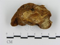 登錄號:F0008052藏品圖，第1張