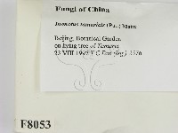 登錄號:F0008053藏品圖，第2張
