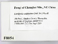 登錄號:F0008054藏品圖，第2張