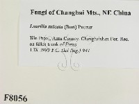 登錄號:F0008056藏品圖，第2張