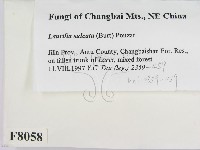 登錄號:F0008058藏品圖，第2張