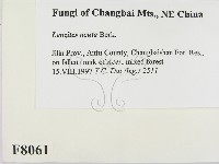 登錄號:F0008061藏品圖，第2張