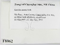 登錄號:F0008062藏品圖，第2張