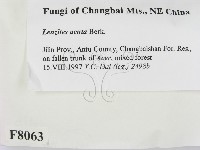 登錄號:F0008063藏品圖，第2張