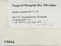 登錄號:F0008064藏品圖，第2張
