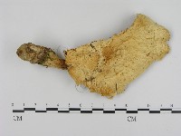 登錄號:F0008064藏品圖，第3張