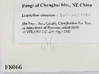 登錄號:F0008066藏品圖，第2張