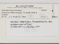 登錄號:F0008067藏品圖，第2張