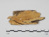 登錄號:F0008067藏品圖，第1張