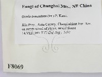 登錄號:F0008069藏品圖，第2張