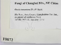 登錄號:F0008072藏品圖，第2張