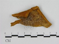 登錄號:F0008072藏品圖，第1張